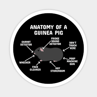 Anatomy of a Guinea Pig: Black (White Text) Magnet